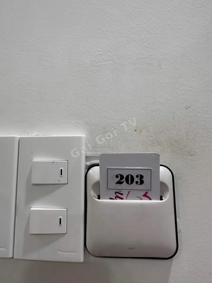 Ảnh 3